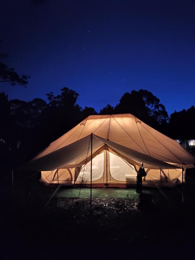 Glamping At Zeehan Bush Camp Exteriér fotografie