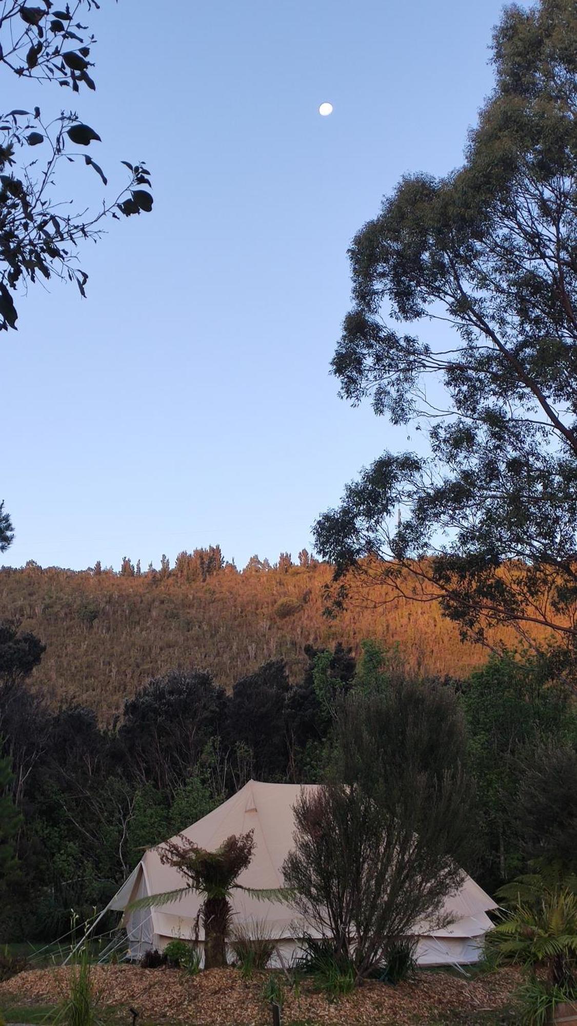 Glamping At Zeehan Bush Camp Exteriér fotografie