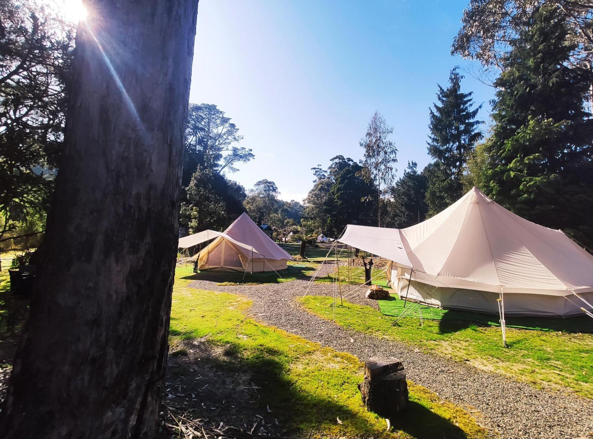 Glamping At Zeehan Bush Camp Exteriér fotografie