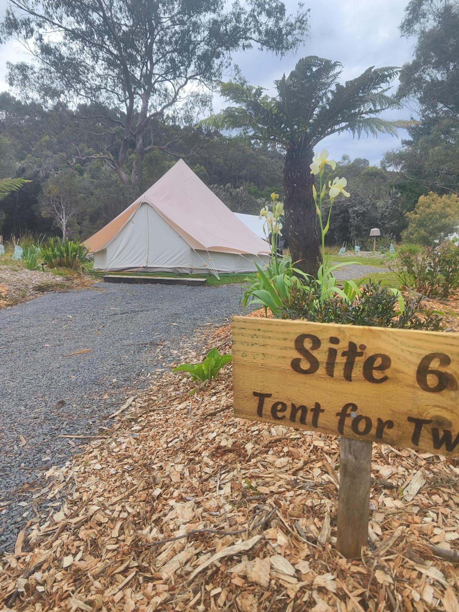 Glamping At Zeehan Bush Camp Exteriér fotografie