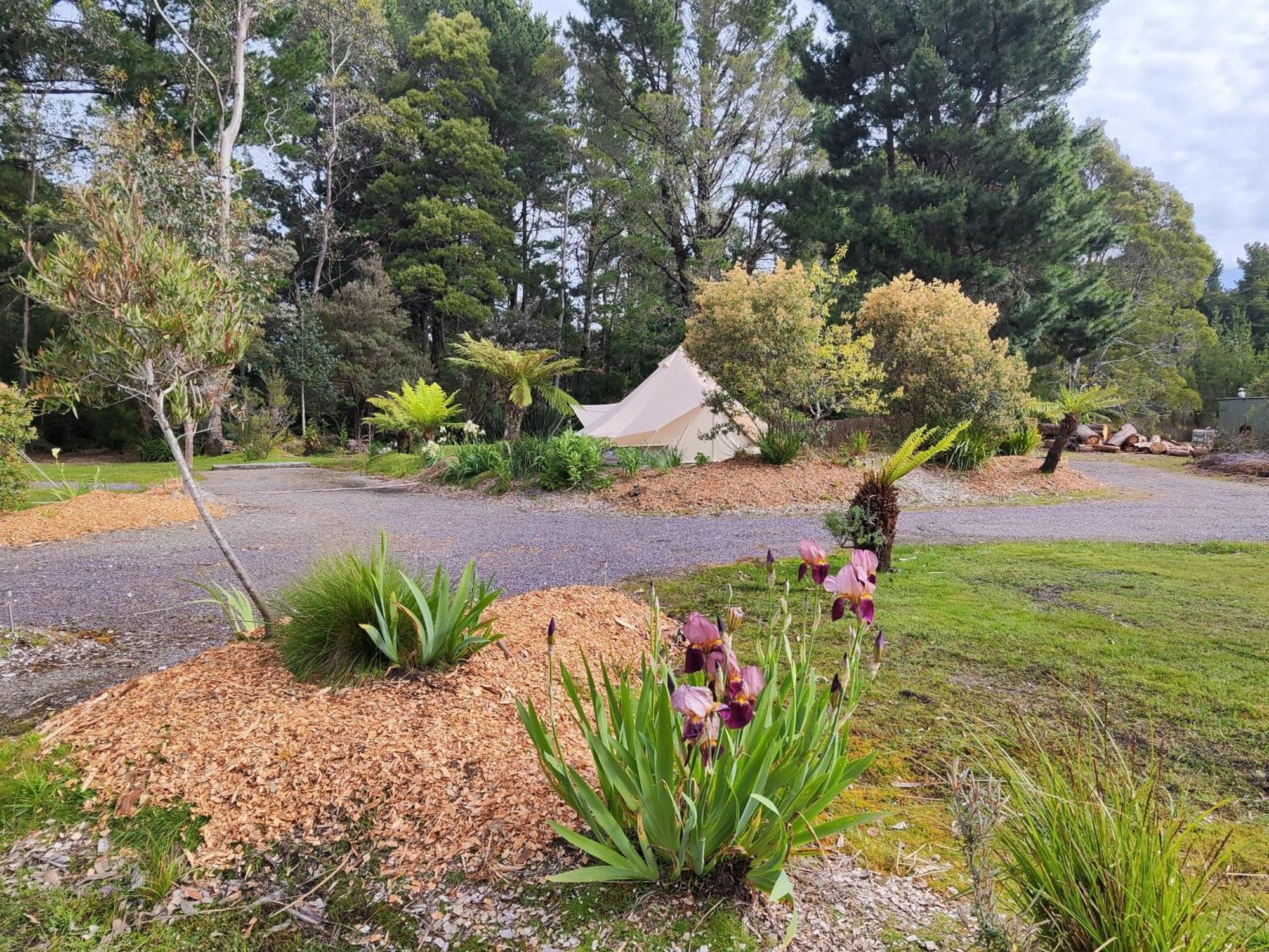 Glamping At Zeehan Bush Camp Exteriér fotografie