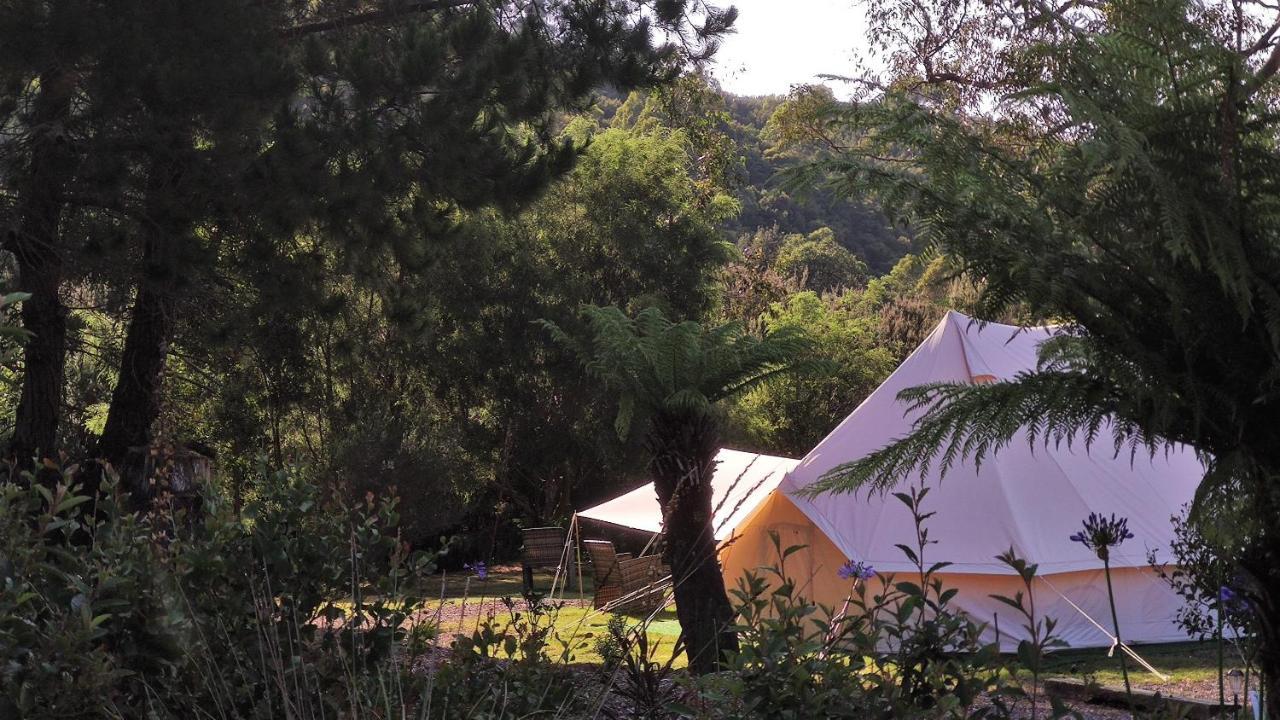 Glamping At Zeehan Bush Camp Exteriér fotografie