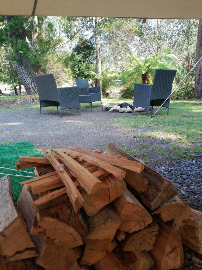 Glamping At Zeehan Bush Camp Exteriér fotografie